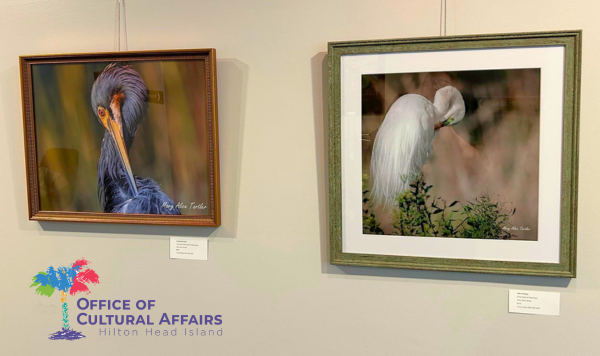 Bird flock exhibit