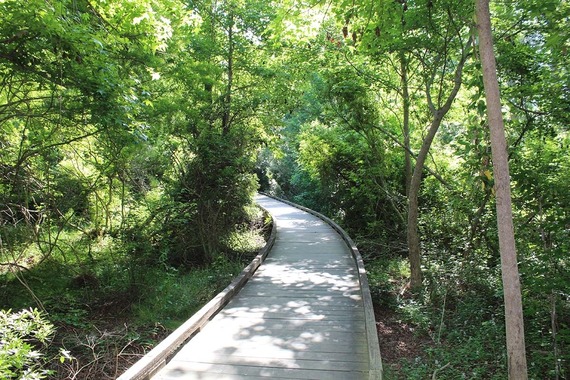Drainage maintenance work scheduled for Jarvis Creek Park Boardwalk