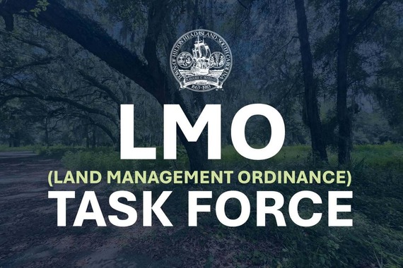 LMO Task Force Meeting