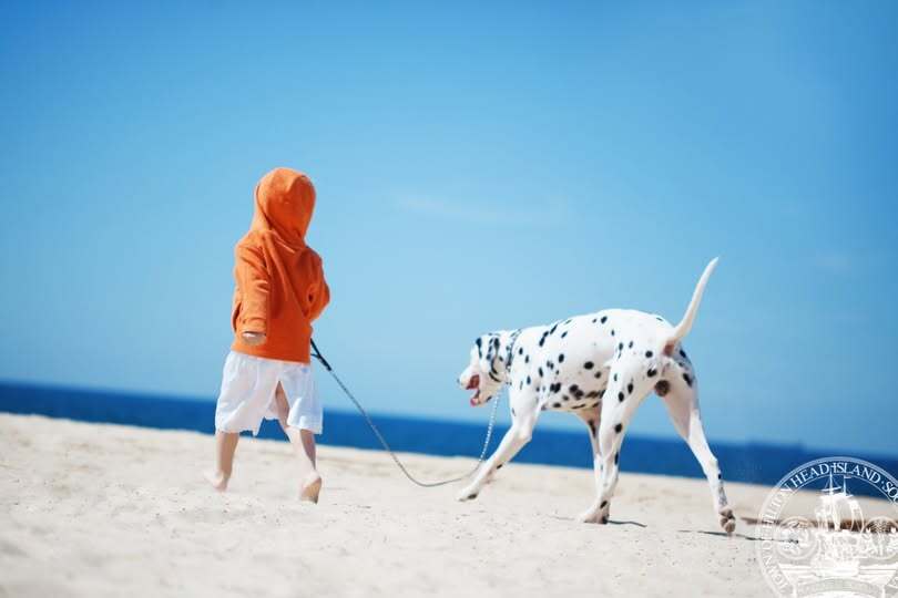 Dog and child on beach