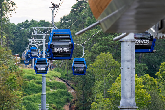 Saluda Skyride opens at Riverbanks Zoo