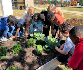 Conservation Mini Grants - 2024