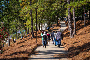 Finlay Park Tour - Nov. 13, 2025