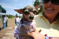 Pets in the Park