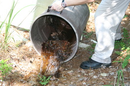 Vector control can dump