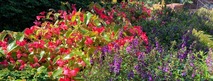 Flowers at Glencairn Garden