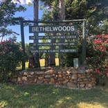 Bethelwoods