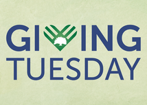 Giving Tuesday