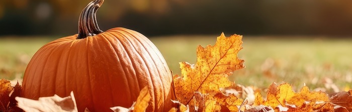 Fall