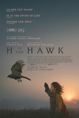 hawk