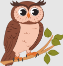 owl