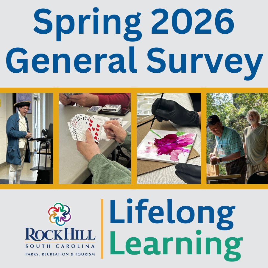 lifelong learning survey