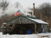 Sugar Shack