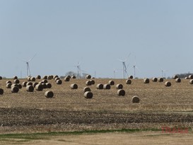 field views from the Dairyland Trail