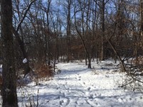 Rockville ungroomed trail