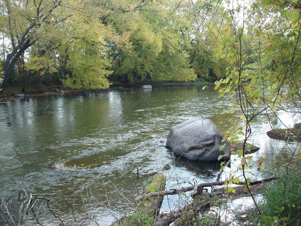 river running around rocks and through trees