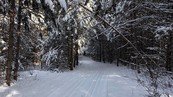 winter ski trail
