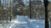 winter ski trail