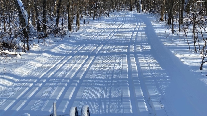 Ski Trail Conditions