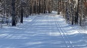 groomed ski trail