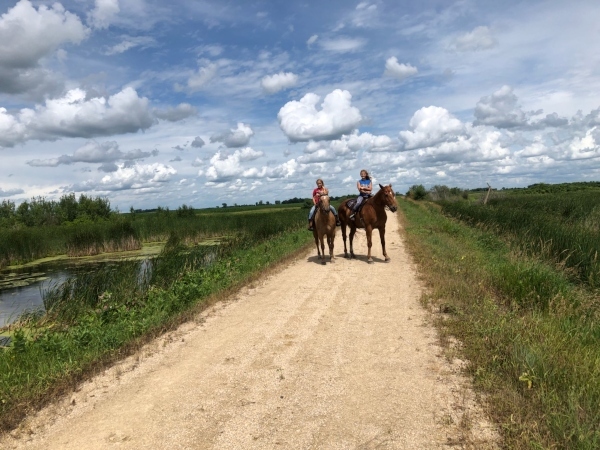 horse and riders on a aggregate surfaced trail 