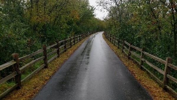 paved trail through the trees