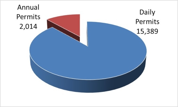 pie chart of daily and annual permits