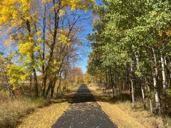 paved trail through trees with colorful leaves