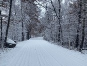 snow covered trail into the woods