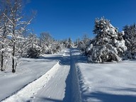 walking trail through the snow