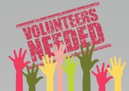 hands raised to volunteer