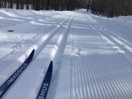 skis on a ski trail in the snow
