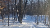 Winter ski trail