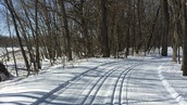 Winter ski trail