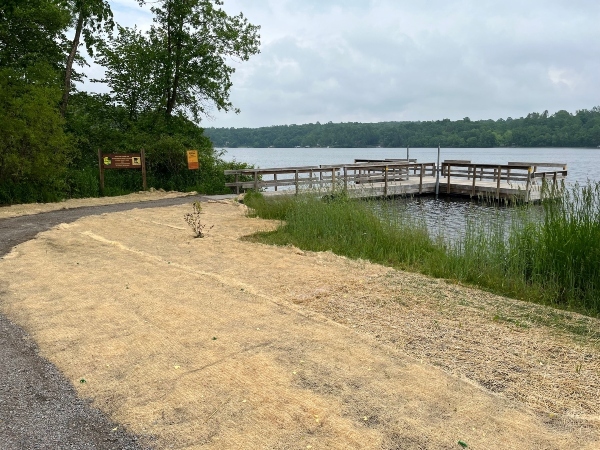 restored shoreline