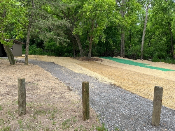 newly planted grasses along a walking trail