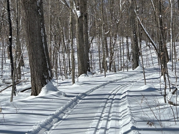 groomed ski trail through the woods