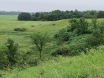 view from the top of a hill looking at green grass, trees, and fields