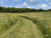 mowing a trail through the prairie