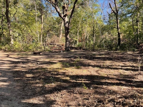 picnic table in the woods
