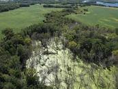Aerial view of park with land and rivers
