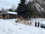 snowshoes lined up in the snow with wood shed in background