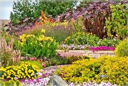 MN Landscape Arboretum