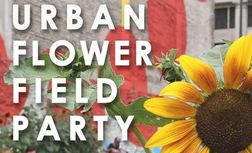 Urban Flower Field