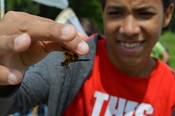 teen holding dragonfly
