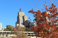 fall in saint paul