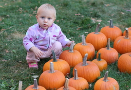 Pumpkin Patch