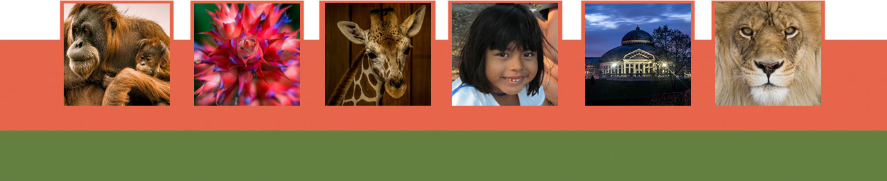 Como Park Zoo & Conservatory