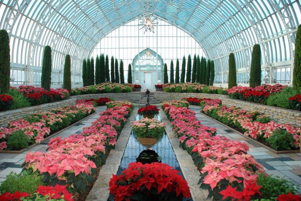 Holiday Flower Show