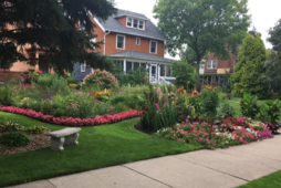 Blooming Saint Paul Garden